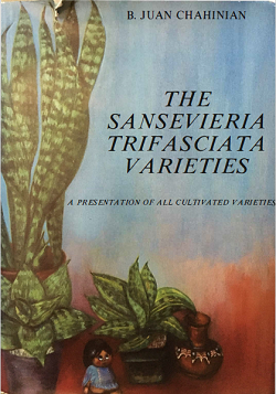 The Sansevieria Trifasciata Varieties