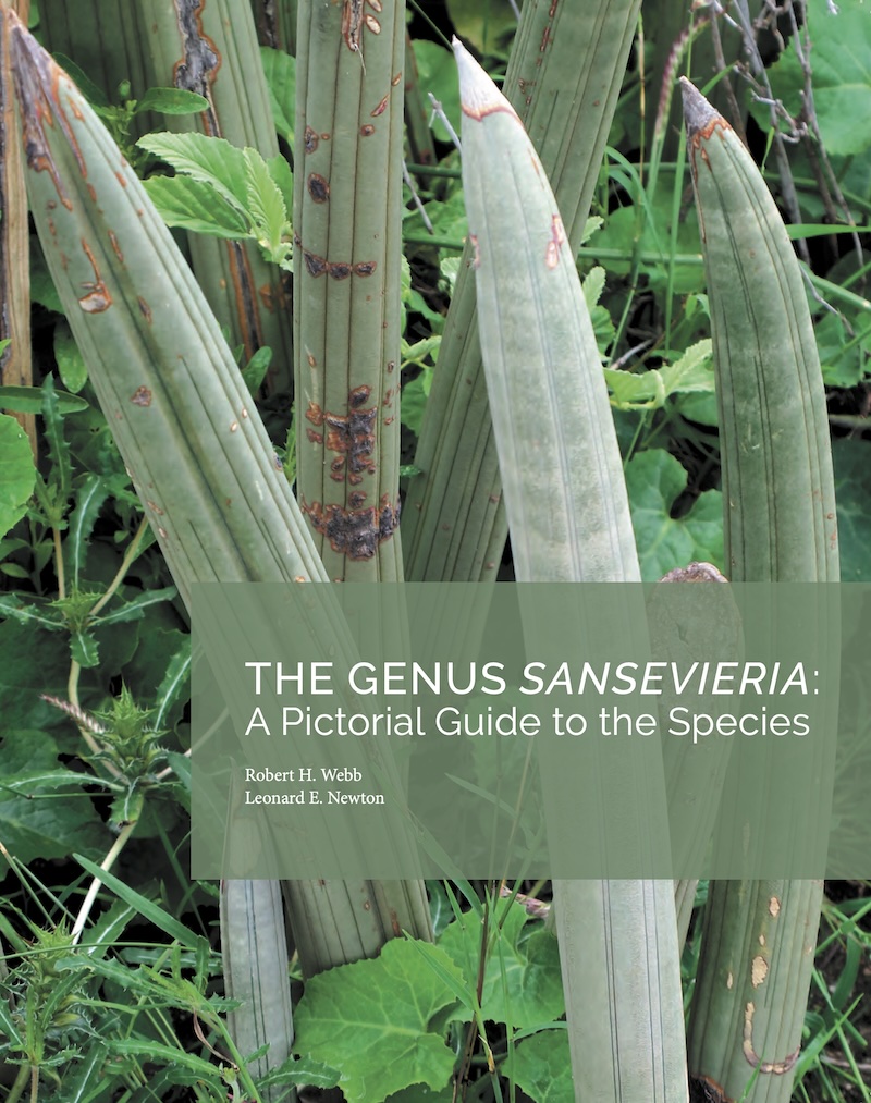 The Genus Sansevieria: A Pictorial Guide to the Species